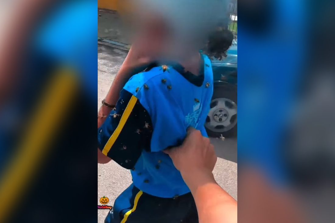 Motoboy vira sensação nas redes ao salvar menina de ataque de abelhas em MG