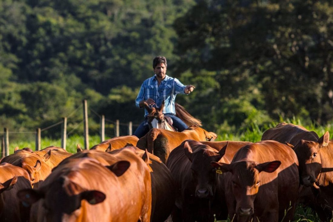 Léo Chaves, aos 49, transforma fazenda de alto padrão em refúgio familiar com vista para a represa Capim Branco II