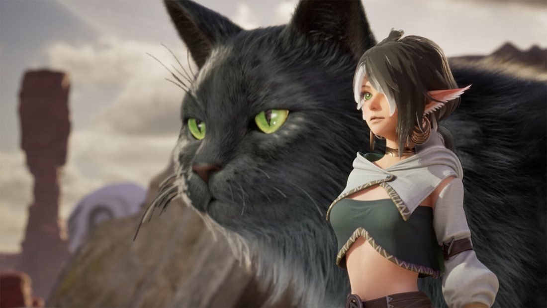 "Pegue meu dinheiro agora": jogo viral permite que seu gato de estimação gigante lute ao seu lado