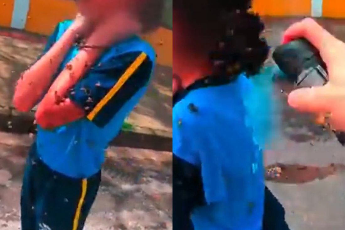 Aluna de 12 anos é atacada por enxame de abelhas na porta da Escola Municipal de Ibirité