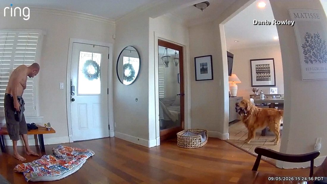 Golden retriever tenta brincar com ladrão que invadiu casa em San Diego e vídeo se torna viral