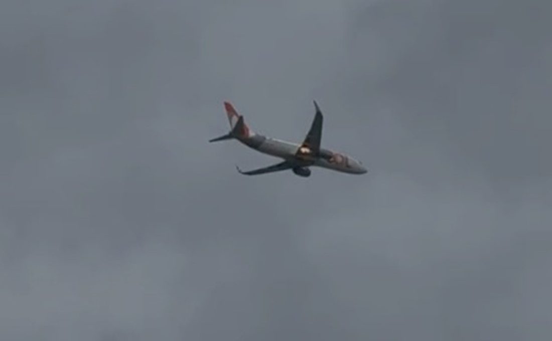 Aeroporto do Recife registra 130 colisões com aves em 2025 e se destaca como o segundo mais afetado do Nordeste