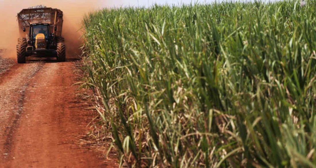 Goldman Sachs alerta risco de alta acentuada nas commodities agrícolas por três ameaças globais
