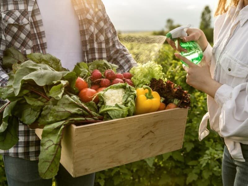 Câmara aprova Política Nacional de Agroecologia e Produção Orgânica (PNAPO)