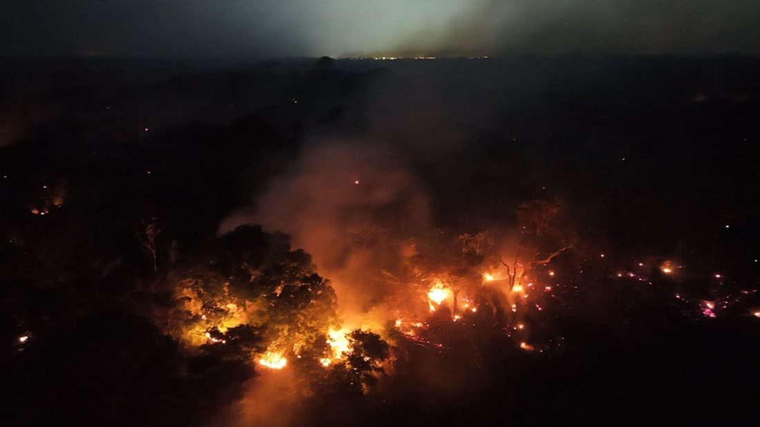 Amazonas registra 1.380 focos de incêndio nos primeiros 10 dias de outubro, alta de 271% em relação a 2025