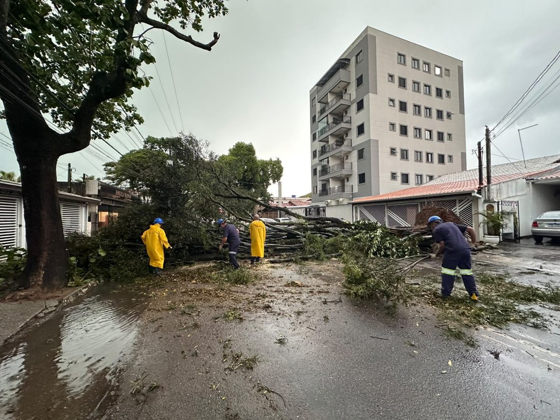 Temporal causa alagamentos, queda de árvores e granizo em cidades do Vale do Paraíba